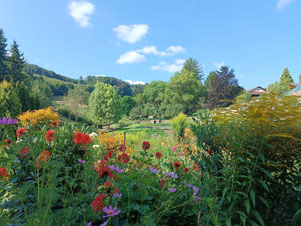 Der idyllische Seminarort in Laab im Walde (Foto: I. Czeczelits)