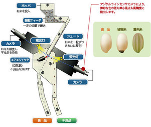 玄米の選別のしくみ
