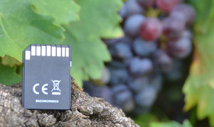 carte-sd-micro-1-2-pin-pins-ram-memoire-vive-vitesse-video-uhs-sd-sdxc-sdhc-sduc