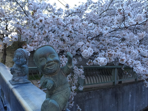 船橋　海老川　ばか面