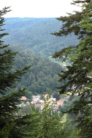 Blick vom Aizenberg auf einen Teil von Bad Herrenalb (G. Franke, 05.07.2020)