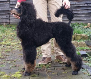 " Excellent Adina " - 5 Monate - 52 cm