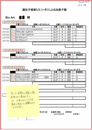 父猫の遺伝病遺伝子検査ミスの交配により産れた子猫の検査報告書一覧