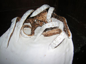 ceramica scultura polpo