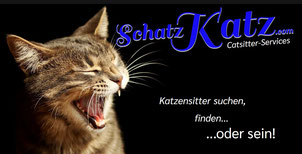 SchatzKatz.com Tierbetreuung, Katzenbetreuung, Katzensitter finden!