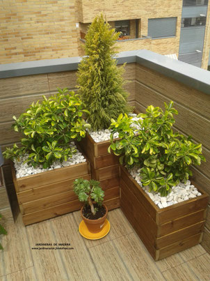 jardinerasdemadera.blogspot.com