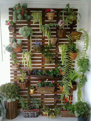 www.jardinerasdemadera.blogspot.com