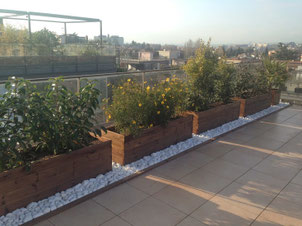 jardinerasdemadera.blogspot.com