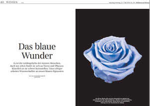 Kai Kupferschmidt: "Das blaue Wunder", SZ, 6.7.2019 (Ausschnitt)