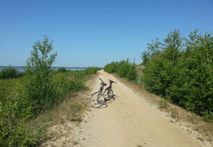 Radfahren am Cospudener See unweit unserer Ferienwohnung