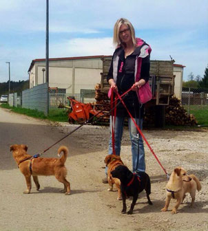 Eine ganz liebe, große Hilfe ist Marion : Mädchen für alles. Sie macht Tierarztfahrten, führt die Hunde spazieren und kümmert sich um Pflegekatzen.