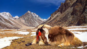 Great Himalaya Trail in Bhutan
