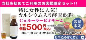 酵素ドリンクを500円からお試し