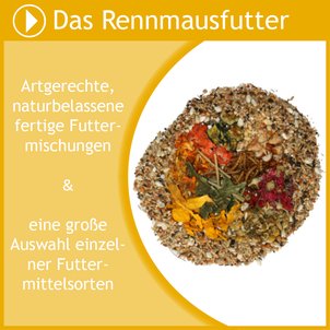 Entdecke artgerechtes und naturbelassenes Futter für deine Mongolischen Rennmäuse in großer Auswahl.