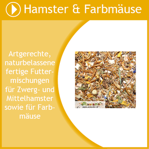 Entdecke artgerechtes und naturbelassenes Futter für Hamster und Farbmäuse in großer Auswahl.