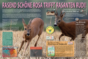RWJunior Ausgabe 07-2026
