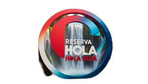 Página web de fundacionholavida