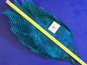 Keough Roostercape