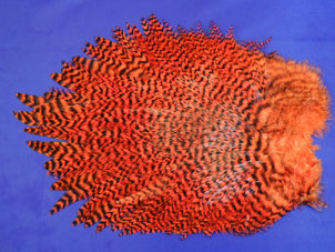 Keough Saltwater Roostersaddle