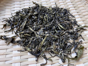 Hand-rolled tea made from freshly harvested zairaishu leaves