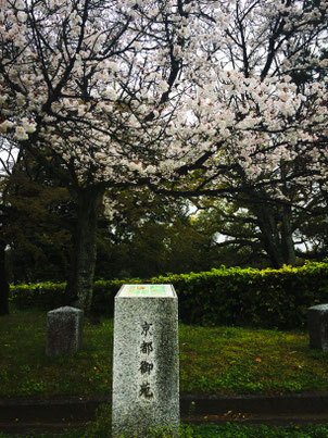 京都御苑