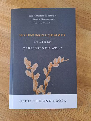 Hoffnungsschimmer in einer zerrissenen Welt (2025) epubli