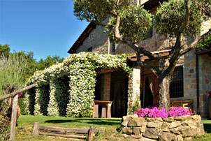 Holiday house tuscany