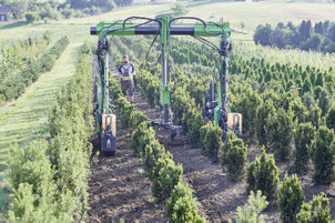 Milchtank mit Chassis und Elektrischem Fahrantrieb. Der Milchtank befindet sich auf der Hubvorrichtung, um die Milch schonend (ohne zu pumpen) ins Käsekessi zu transportieren.