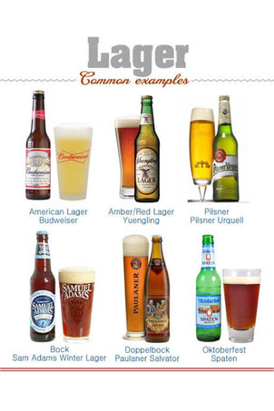 Family of Lager beers