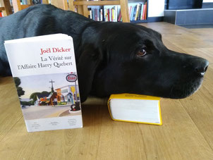 This lucky dog doesn't need dictionaries. He can communicate with any dog in any country!