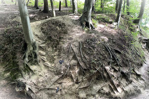 Kommunikation differenziert gestalten – oder bewusst vereinfachen? Sie entscheiden!