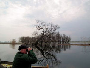 Werner an der Havel