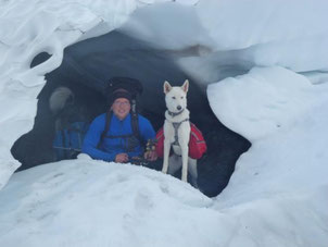 Dogtrekking Dogtrekking Dogtrekking Elbsandstein-Dogtrekking ESDT Harz-Dogtrekking