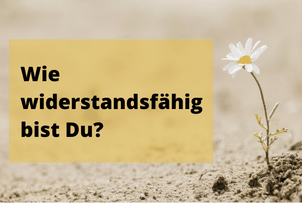 Wie groß ist Deine Resilienz? Test zu Resilienz