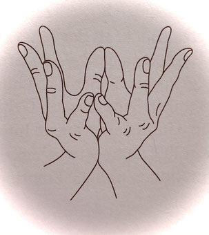 Lotos Mudra