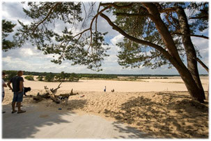 Mei: Rondje Noord-Brabant