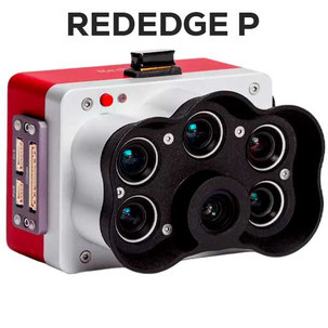 RedEdge P