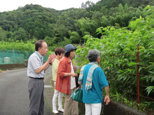 差視察研修　桜の葉の塩漬け