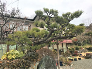 門かぶり　一関　川崎