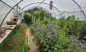 "Le Clos de Vertumne" - Printemps 2024