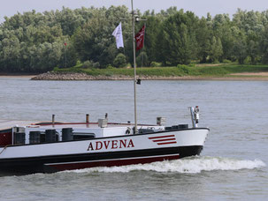ms Advena
