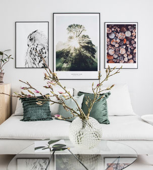 Bilder von Posterstore