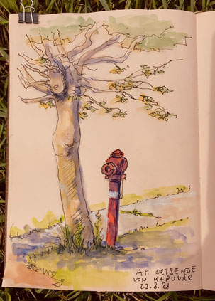 Birgit_Lippeck_Hydrant_Kapuvar