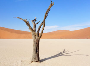 Exemple de road-trip en Namibie