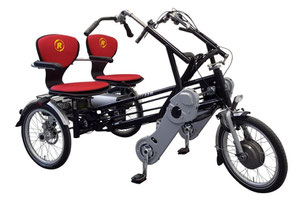 Dreirad Fun2Go von Van Raam