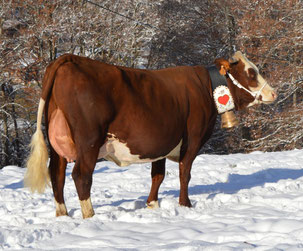 1ère : TCHIKITA (Planbois x Mojito)