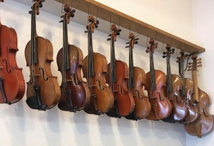 アンダンテ弦楽合奏団,レイトスターター,Andante String Orchestra,