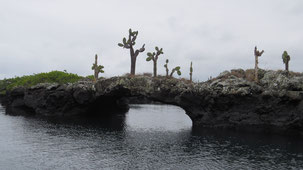 Los Tuneles, Isla Isabela