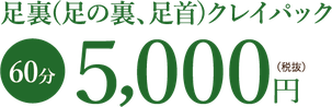 足裏(足の裏、足首)クレイパック　60分5000円（税抜）