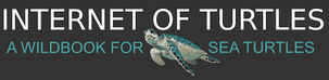 Banner with the title "Internet of Turtles" and a sea turtle illustration, followed by the subtitle "A Wildbook for Sea Turtles."